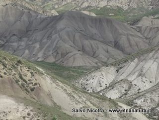 lanchi Cannizzola-03-03-2016 19-53-34
